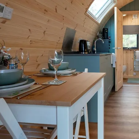 The Shearing Shed